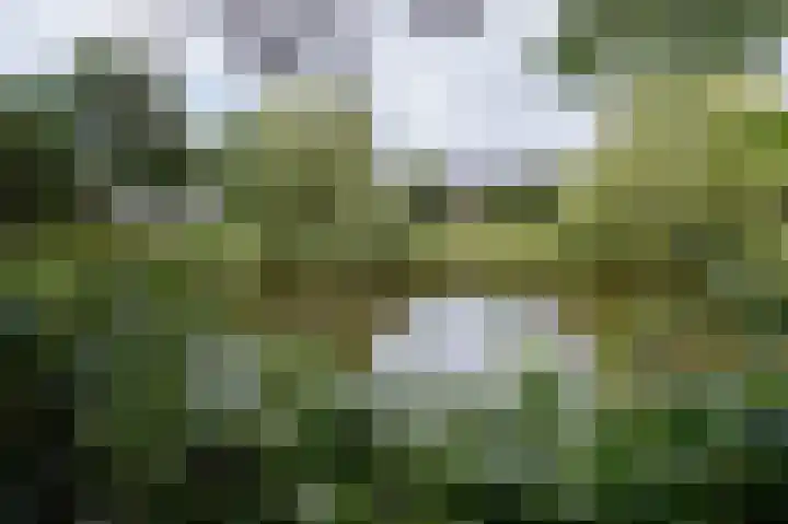 Veldakker 2 Beilen thumbnail 55