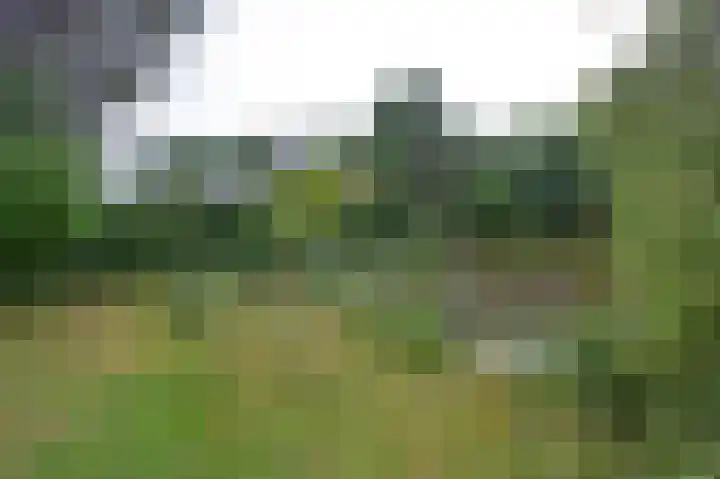 Veldakker 2 Beilen thumbnail 56