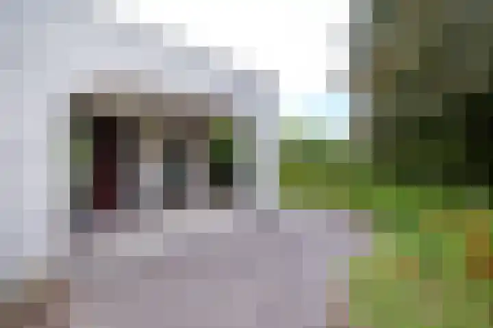 Veldakker 2 Beilen thumbnail 57