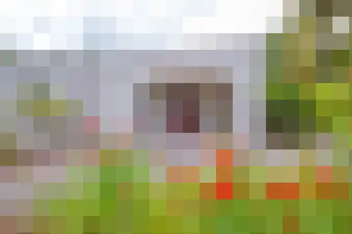 Veldakker 2 Beilen thumbnail 58