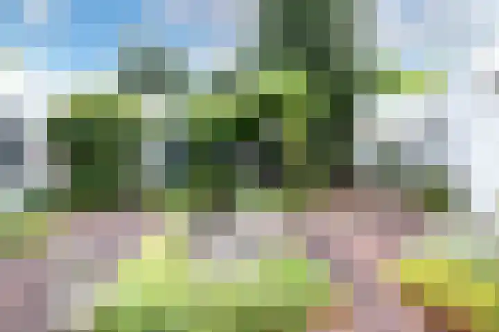 Veldakker 2 Beilen thumbnail 6