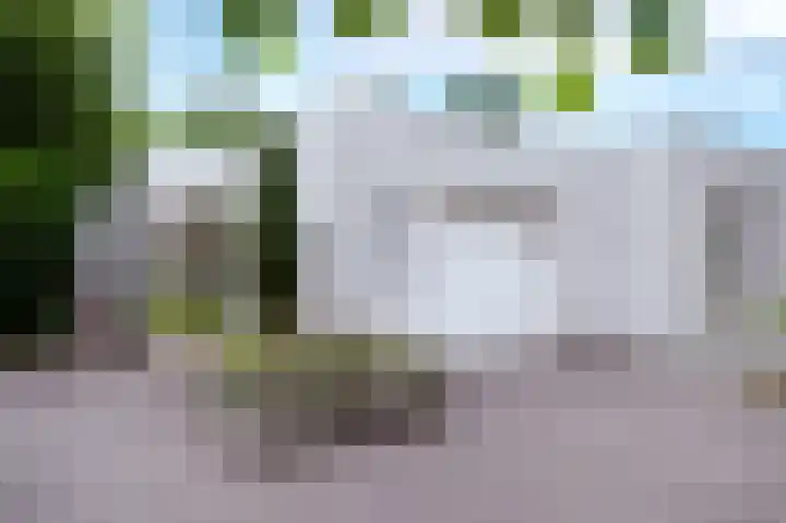 Veldakker 2 Beilen thumbnail 60