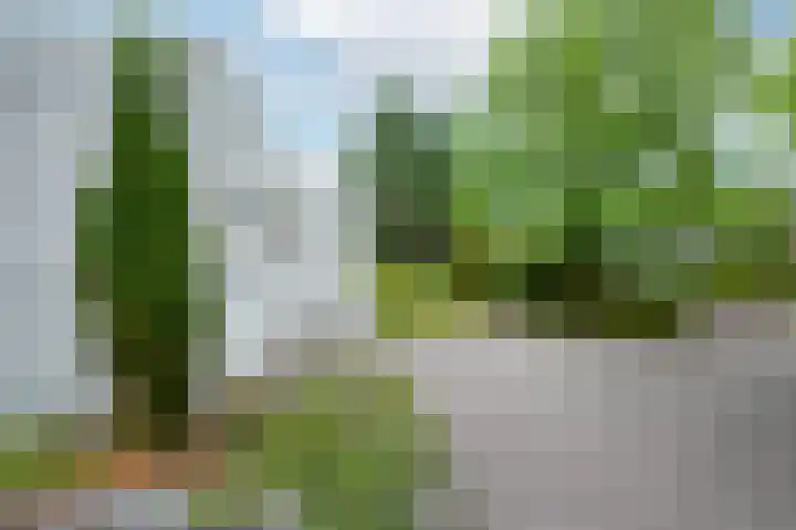 Veldakker 2 Beilen thumbnail 61