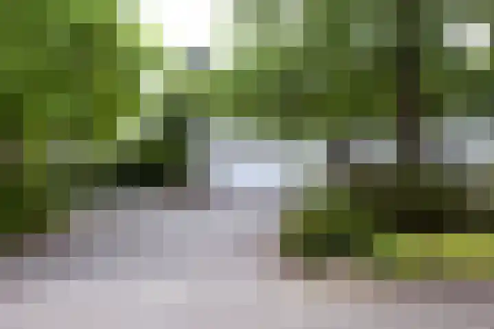 Veldakker 2 Beilen thumbnail 62
