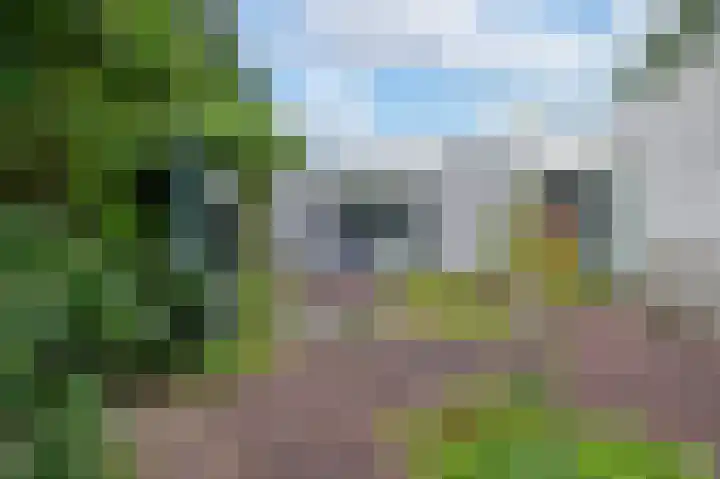 Veldakker 2 Beilen thumbnail 7