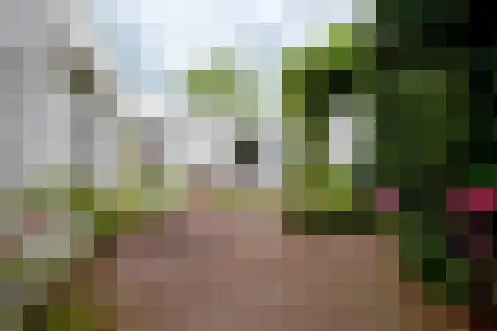 Veldakker 2 Beilen thumbnail 9