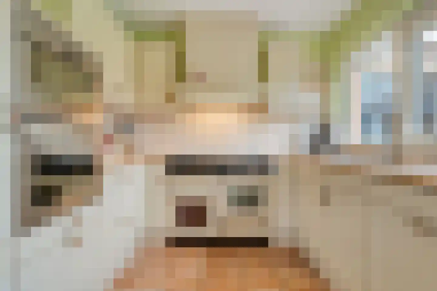 Veldakkers 50 Sleen thumbnail 15
