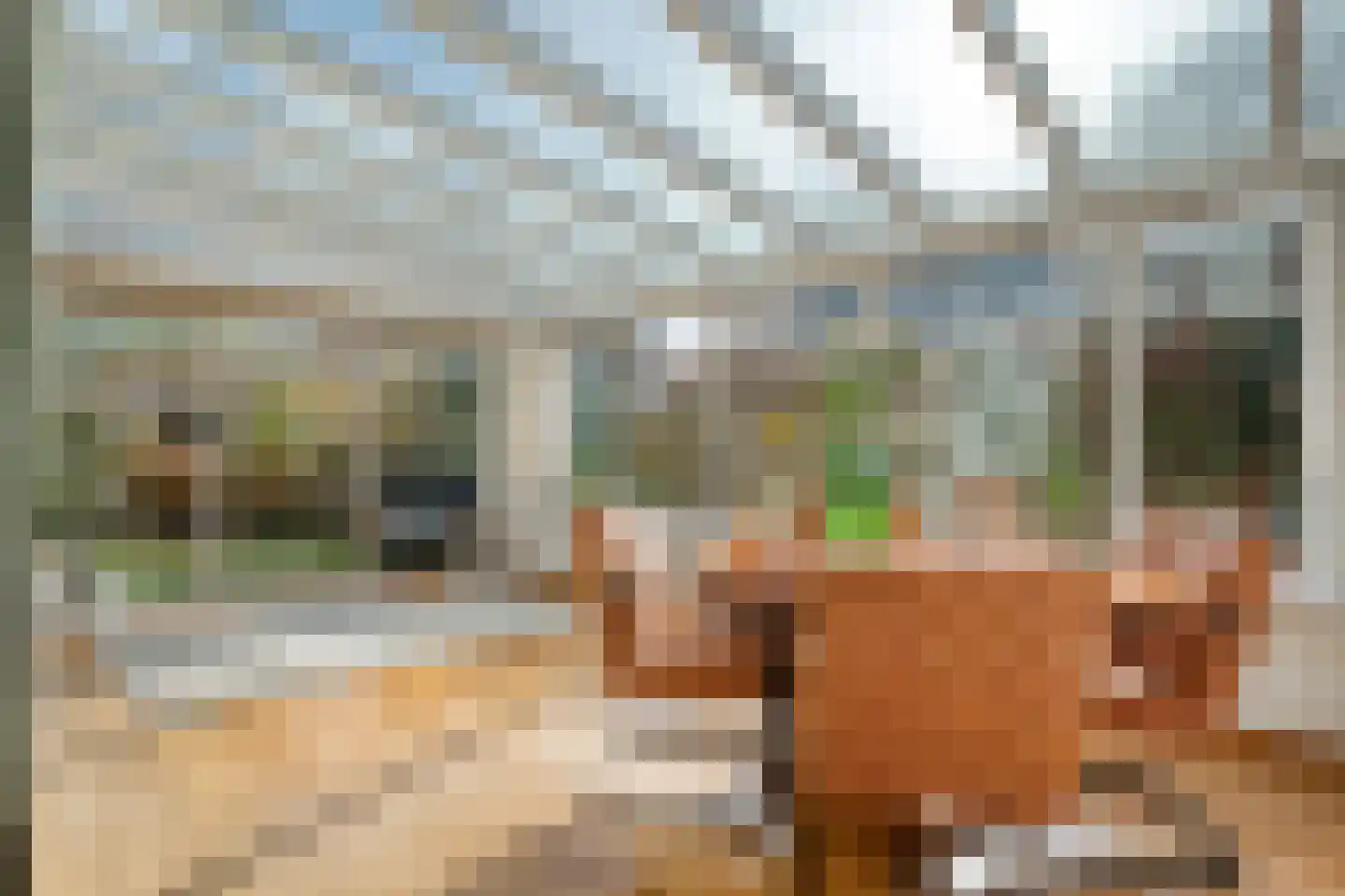 Veldakkers 50 Sleen thumbnail 20