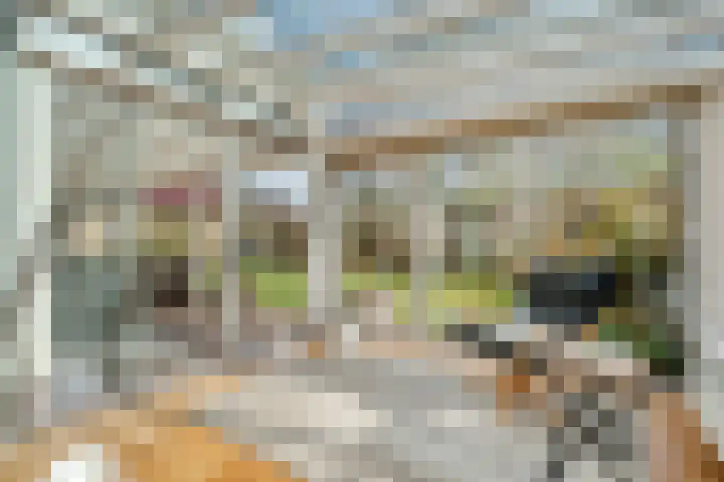 Veldakkers 50 Sleen thumbnail 21