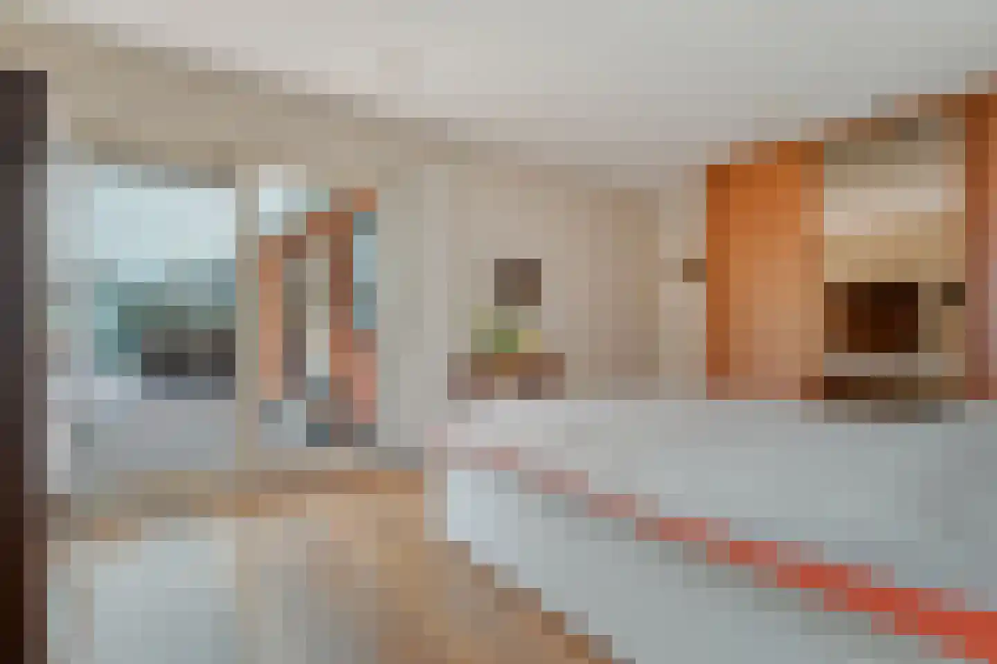 Veldakkers 50 Sleen thumbnail 28