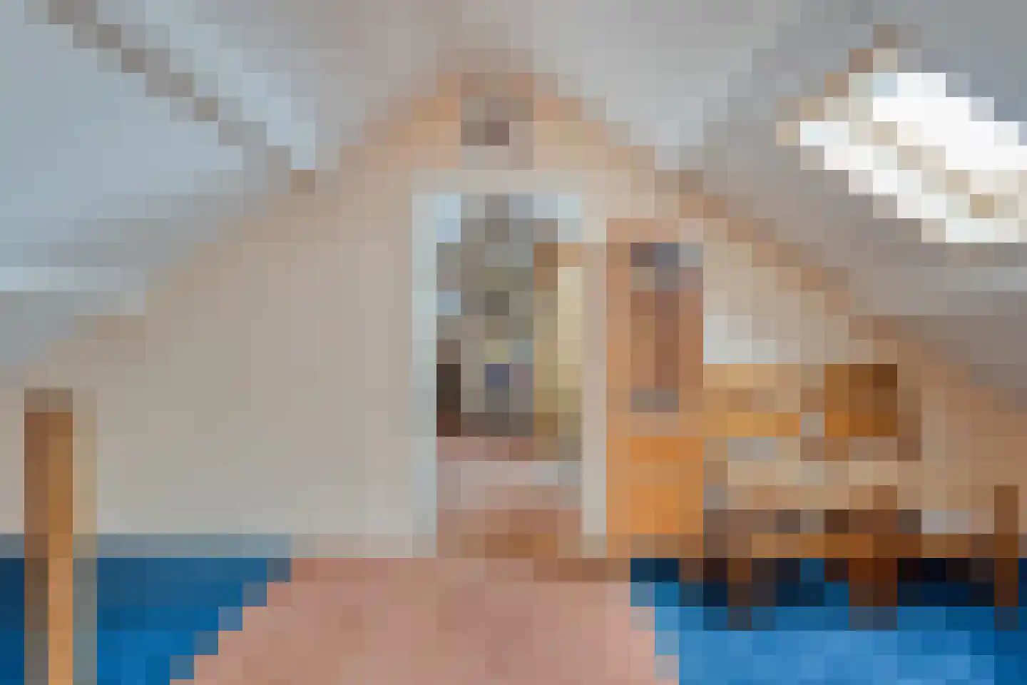 Veldakkers 50 Sleen thumbnail 35
