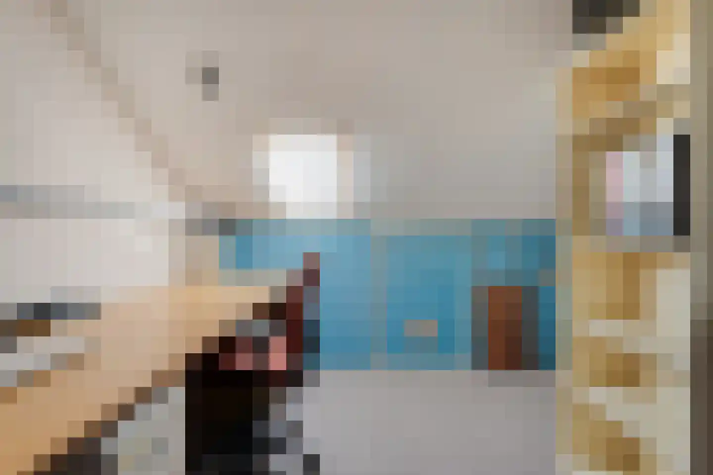 Veldakkers 50 Sleen thumbnail 44