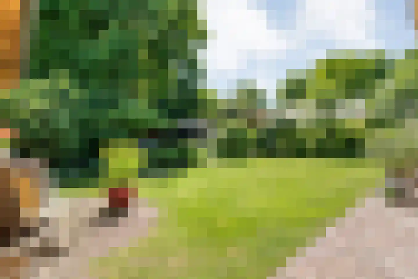 Veldakkers 50 Sleen thumbnail 45