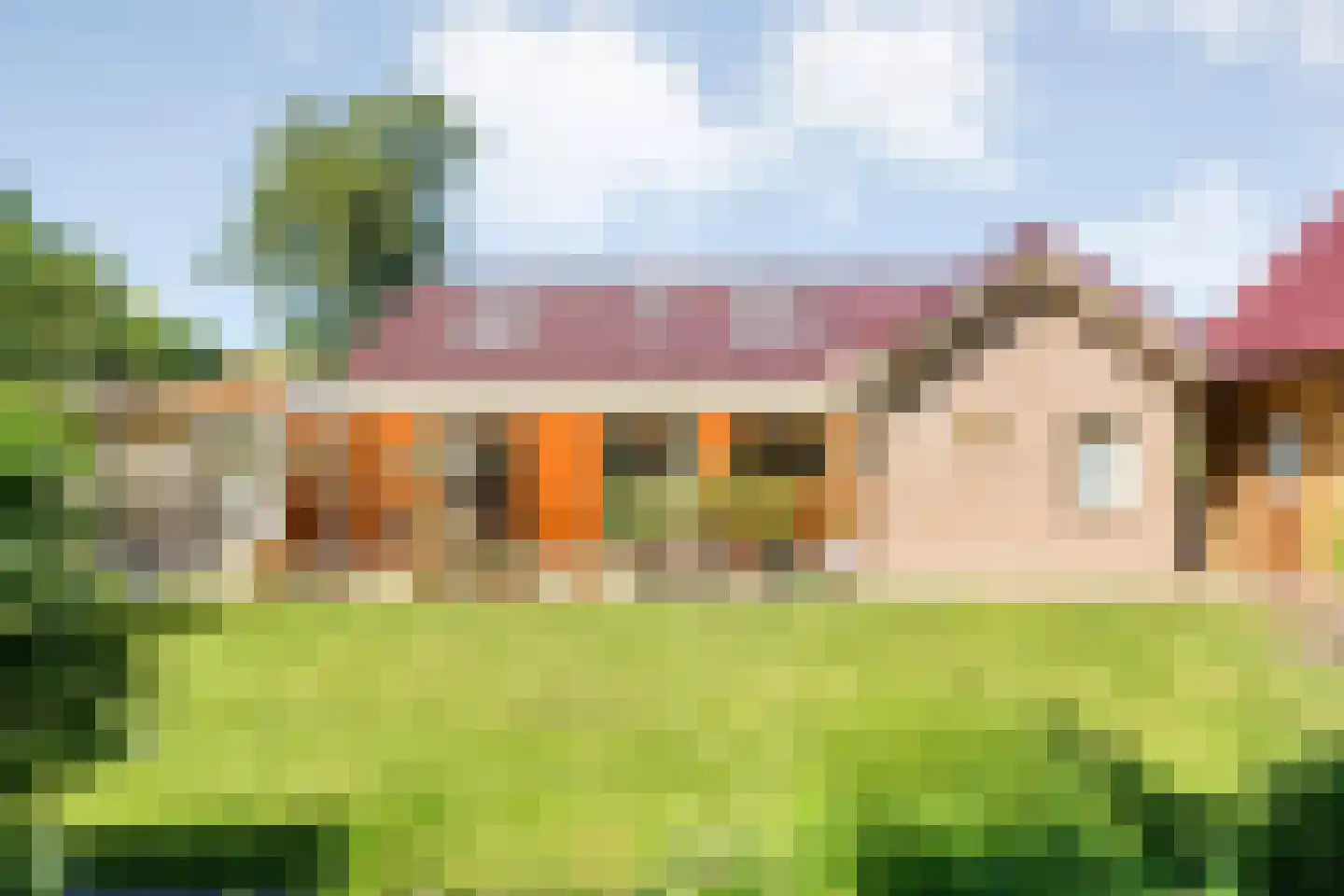 Veldakkers 50 Sleen thumbnail 46