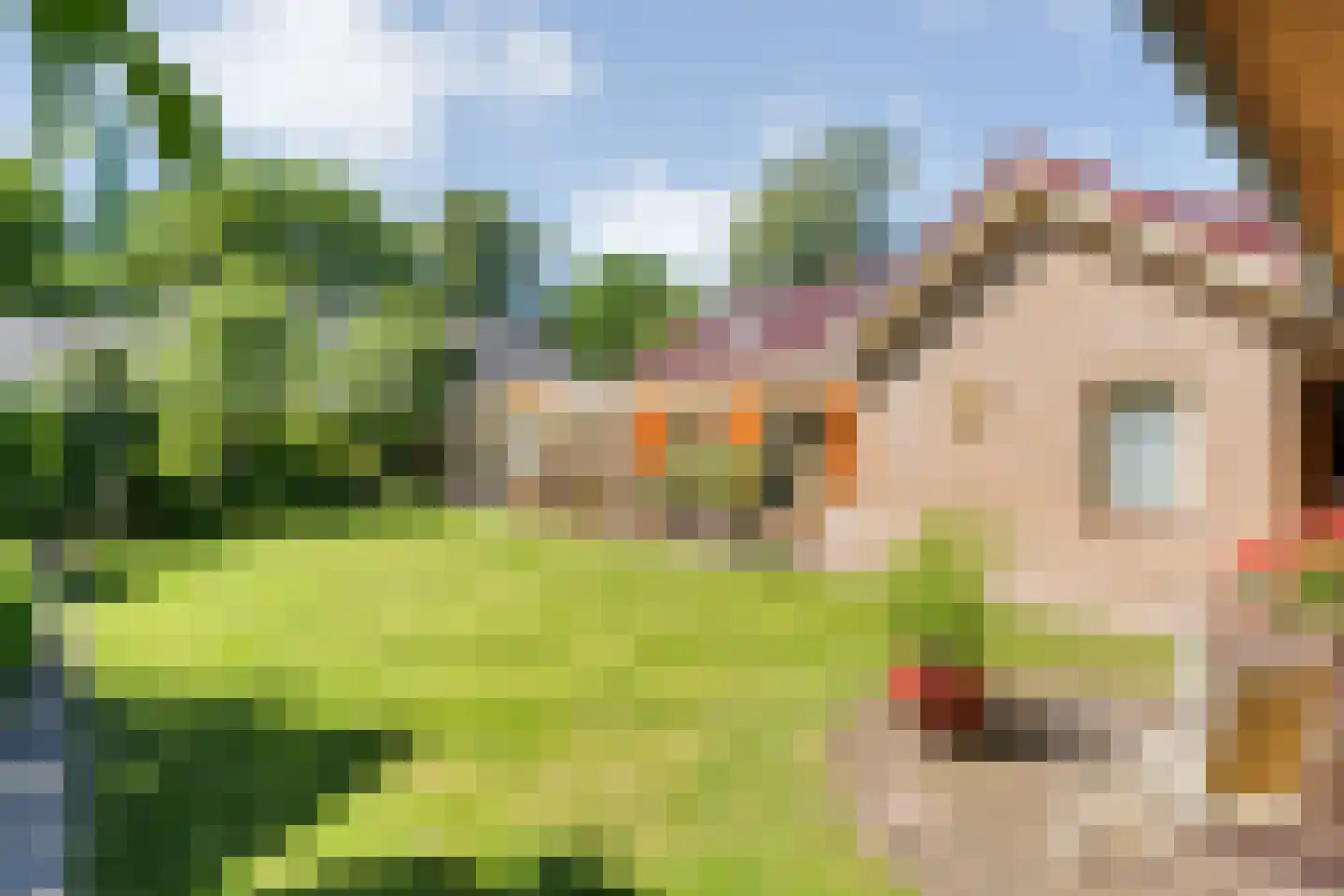 Veldakkers 50 Sleen thumbnail 47