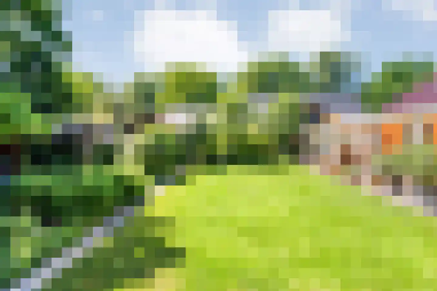 Veldakkers 50 Sleen thumbnail 49