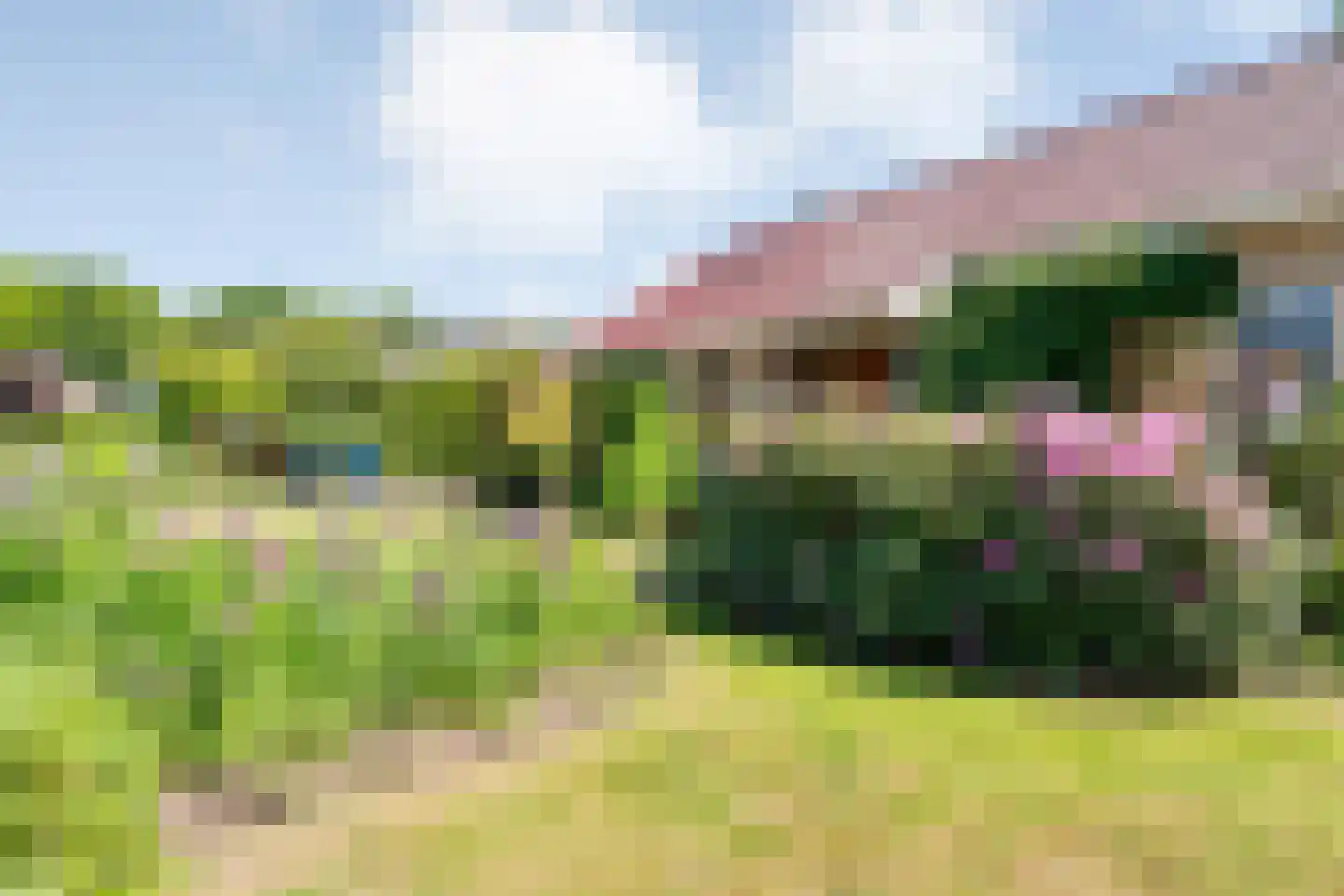 Veldakkers 50 Sleen thumbnail 5