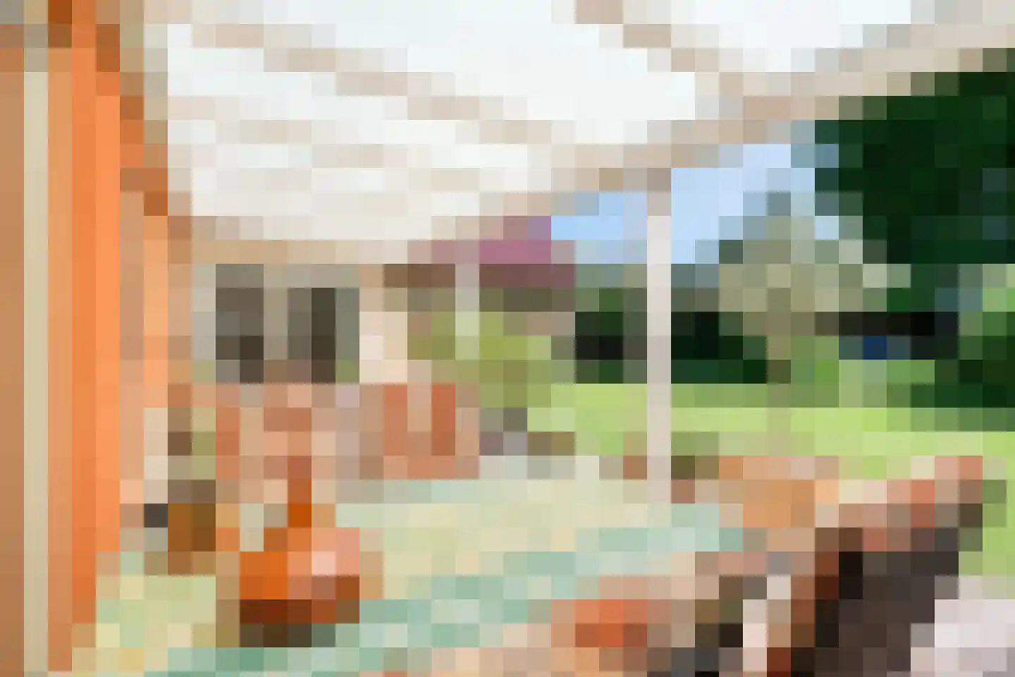 Veldakkers 50 Sleen thumbnail 52