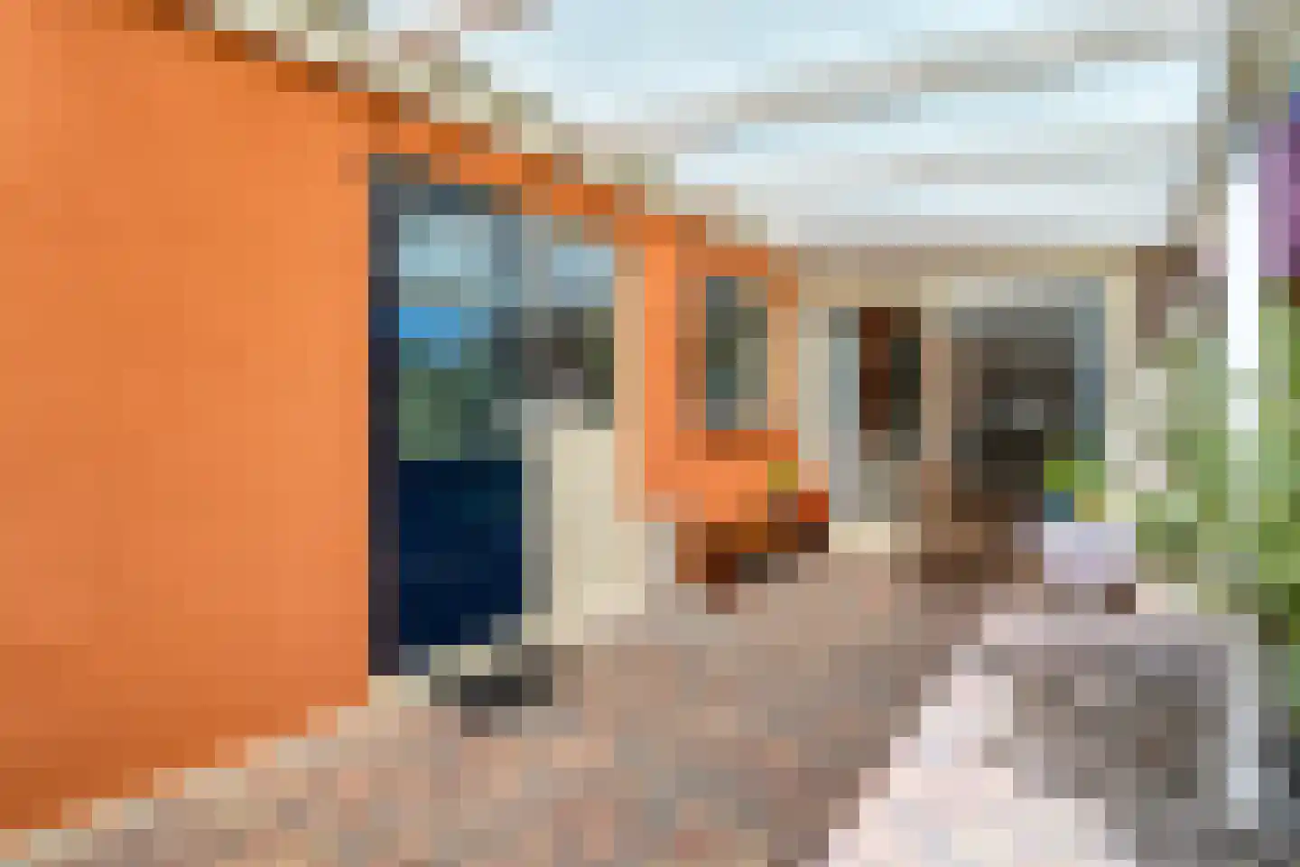 Veldakkers 50 Sleen thumbnail 54
