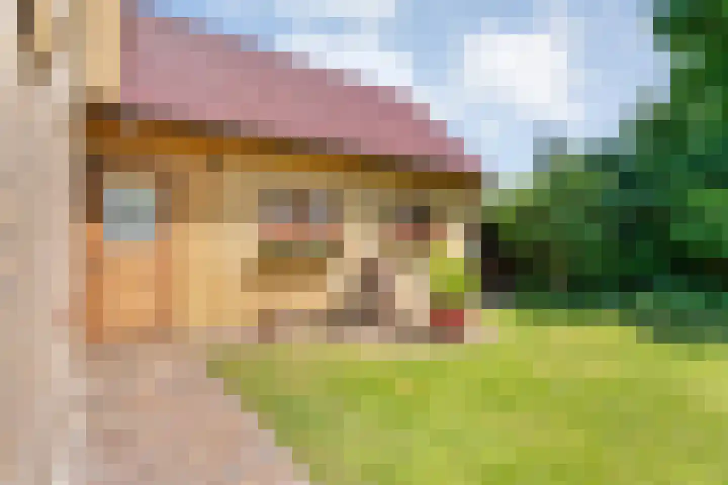 Veldakkers 50 Sleen thumbnail 56