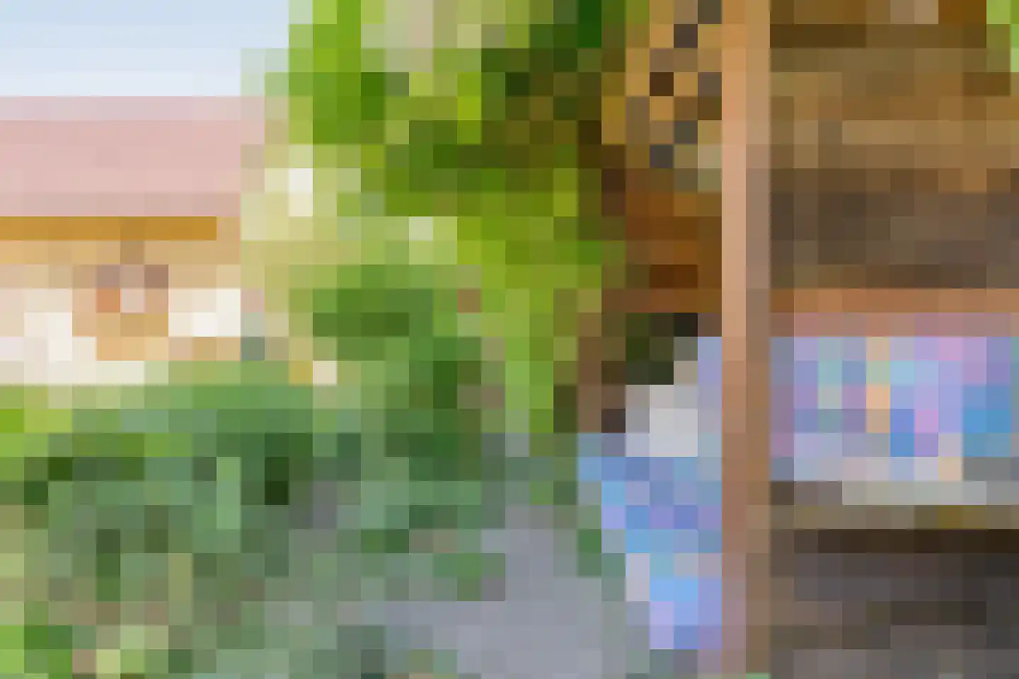 Veldakkers 50 Sleen thumbnail 59