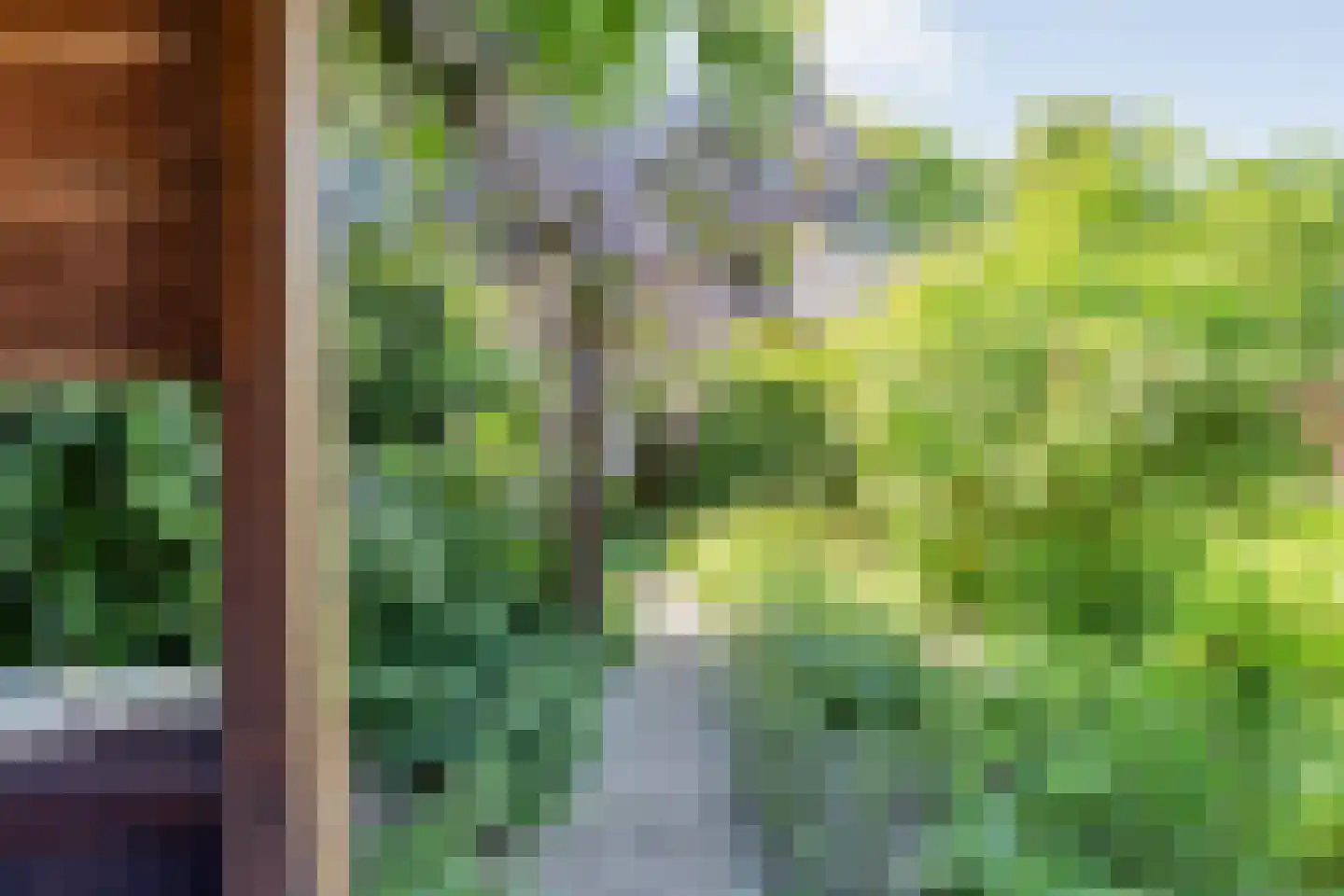 Veldakkers 50 Sleen thumbnail 60