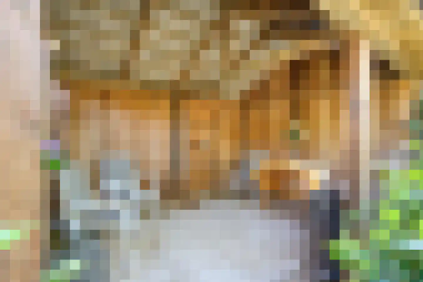 Veldakkers 50 Sleen thumbnail 63