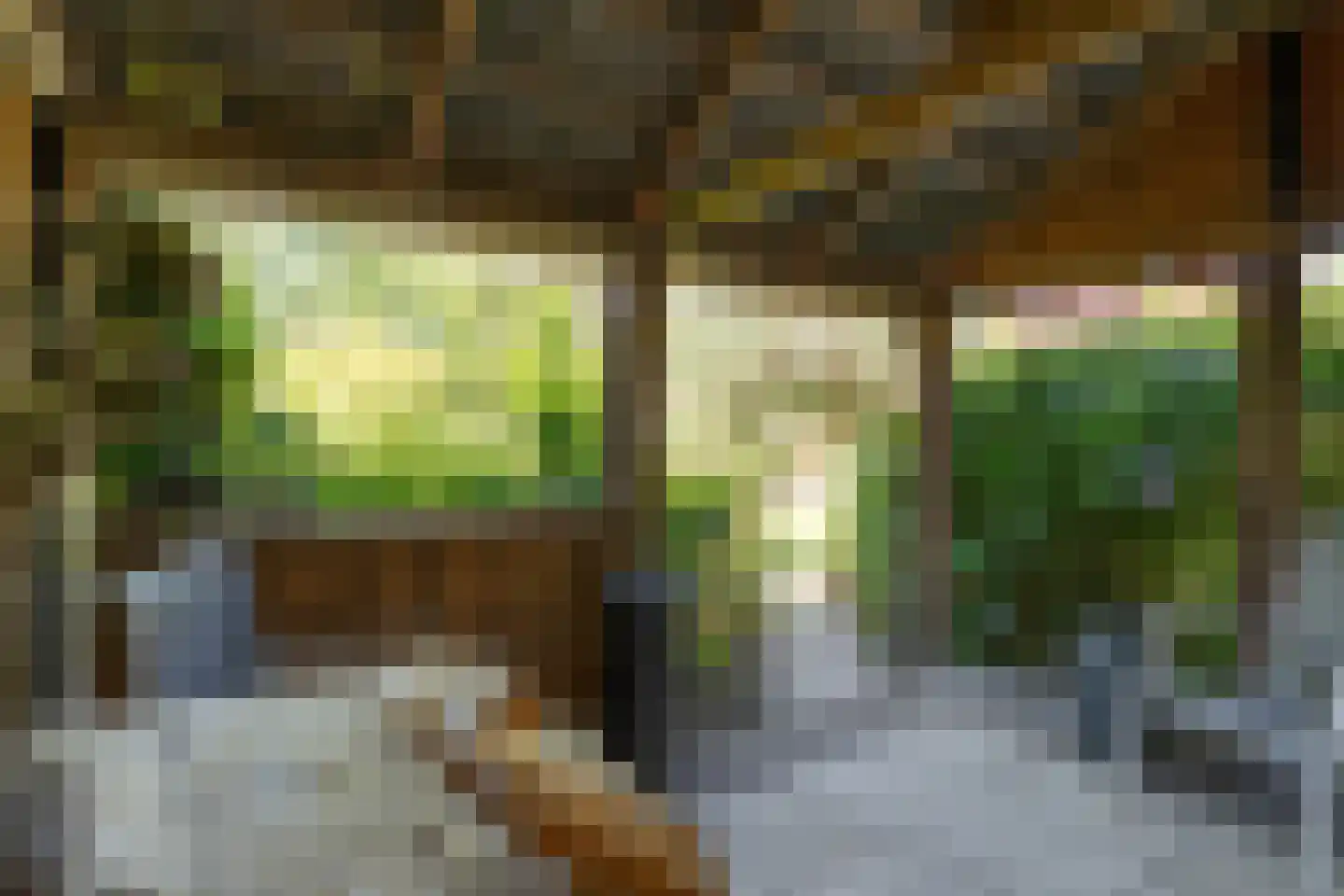 Veldakkers 50 Sleen thumbnail 64