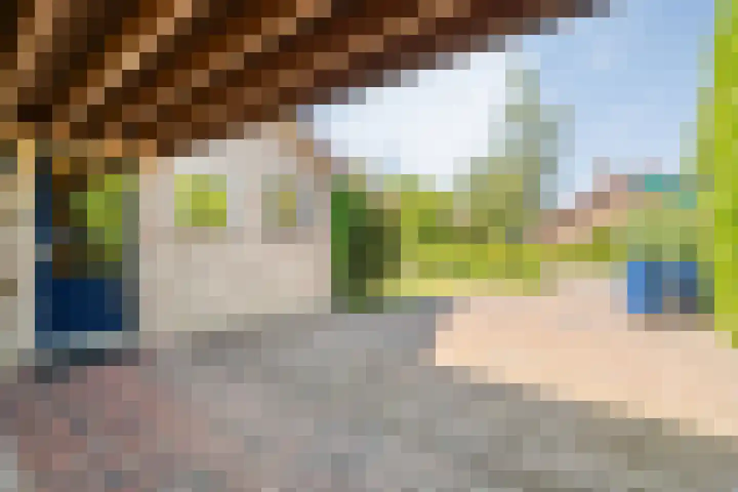 Veldakkers 50 Sleen thumbnail 7