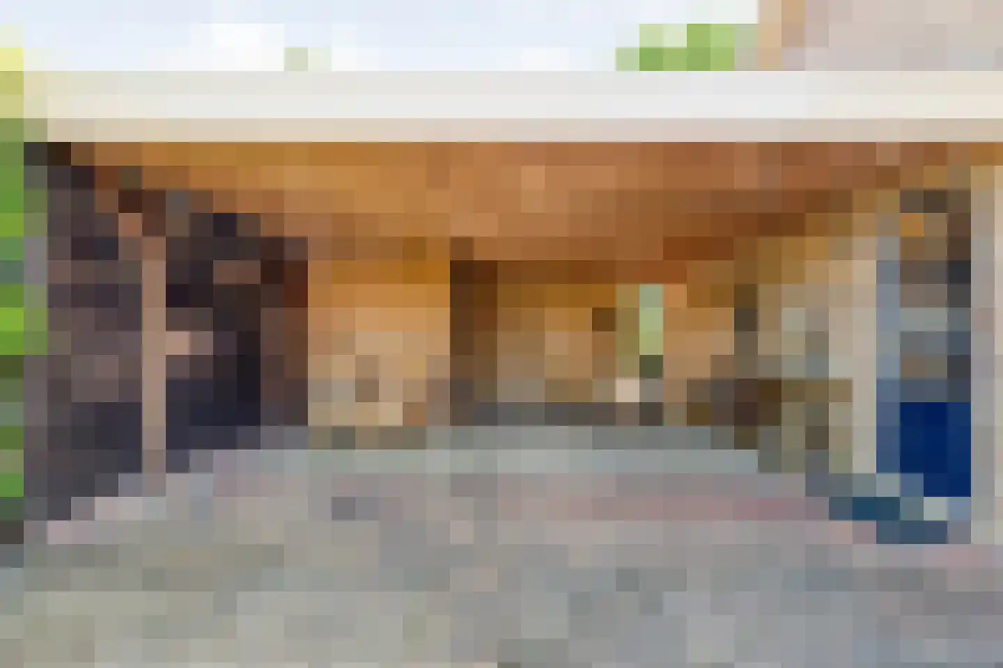 Veldakkers 50 Sleen thumbnail 8