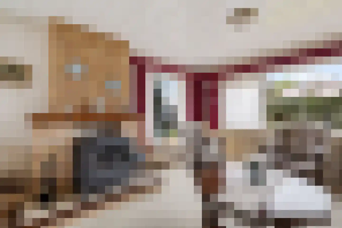 Veldakkers 52 Sleen thumbnail 15