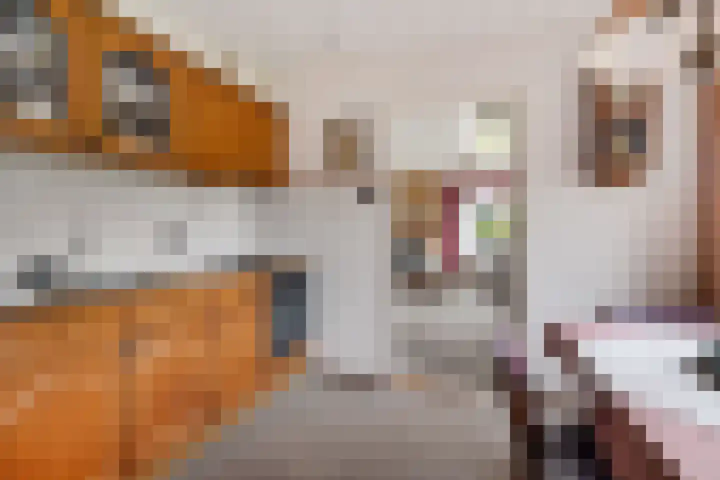 Veldakkers 52 Sleen thumbnail 17