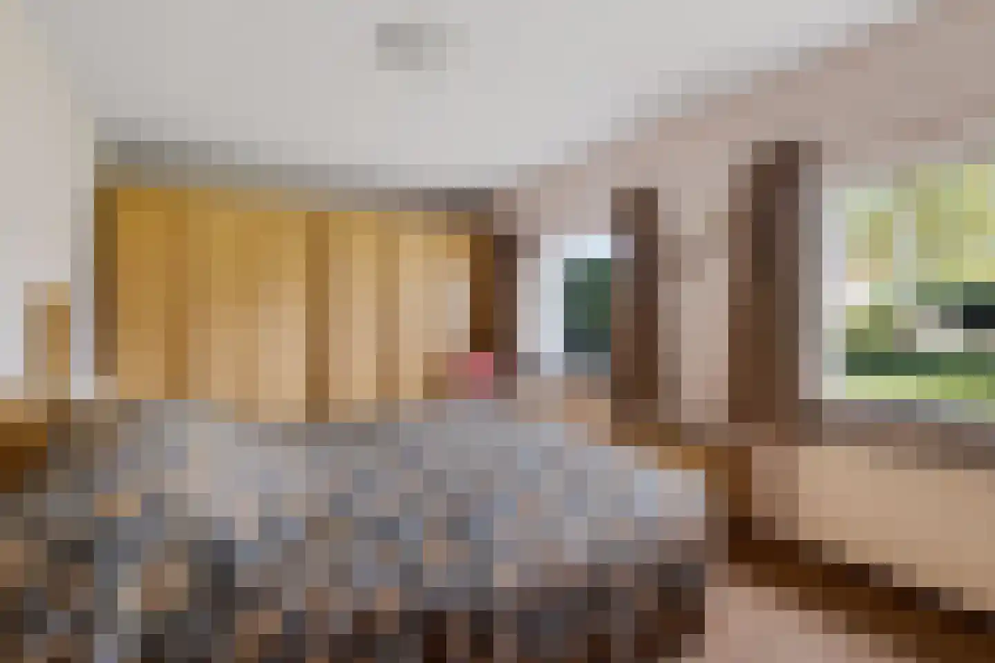 Veldakkers 52 Sleen thumbnail 23