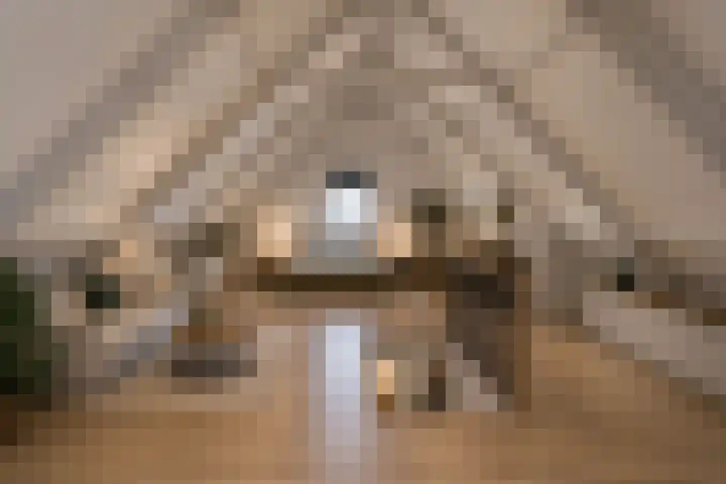 Veldakkers 52 Sleen thumbnail 31