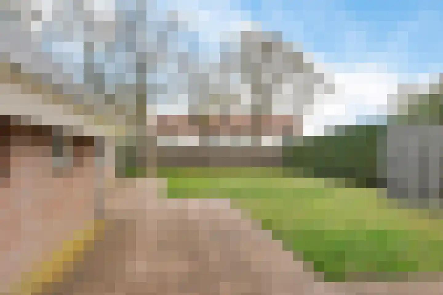 Veldakkers 52 Sleen thumbnail 31