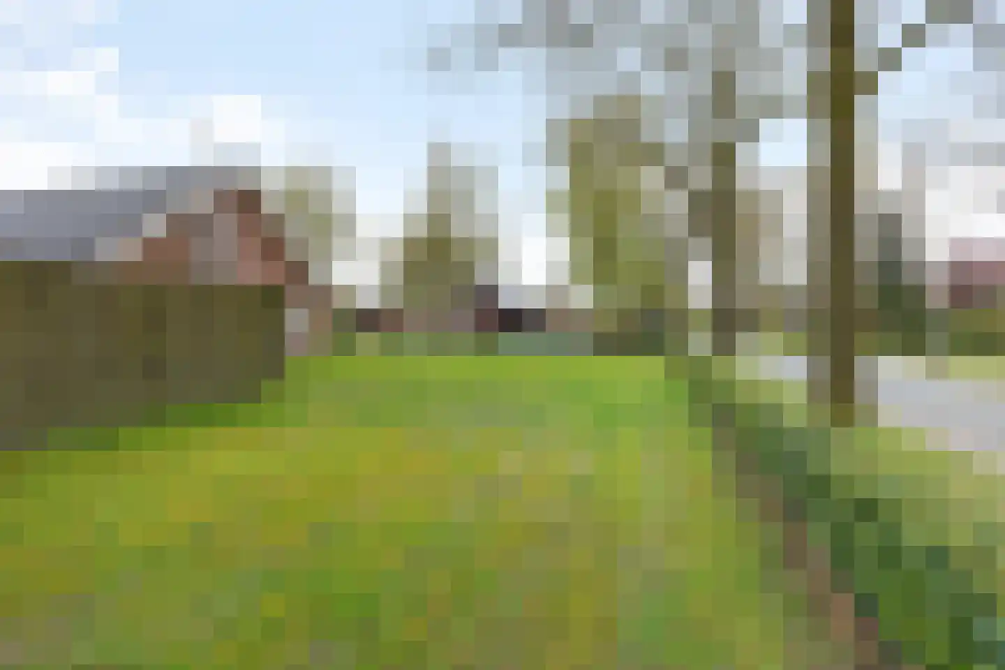 Veldakkers 52 Sleen thumbnail 32
