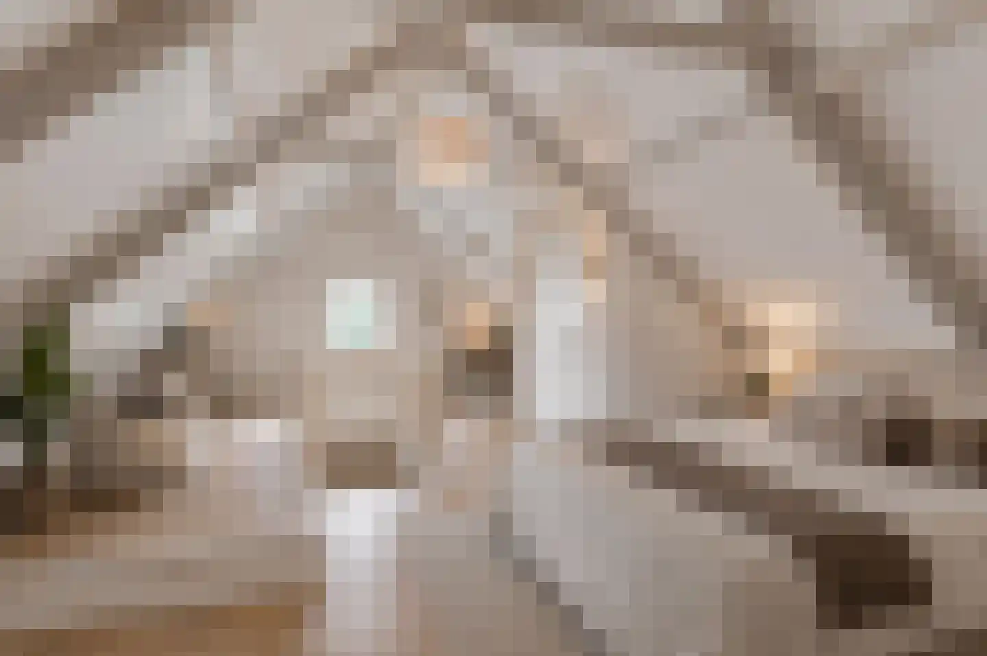 Veldakkers 52 Sleen thumbnail 32