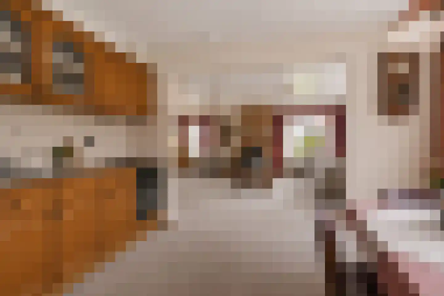 Veldakkers 52 Sleen thumbnail 34