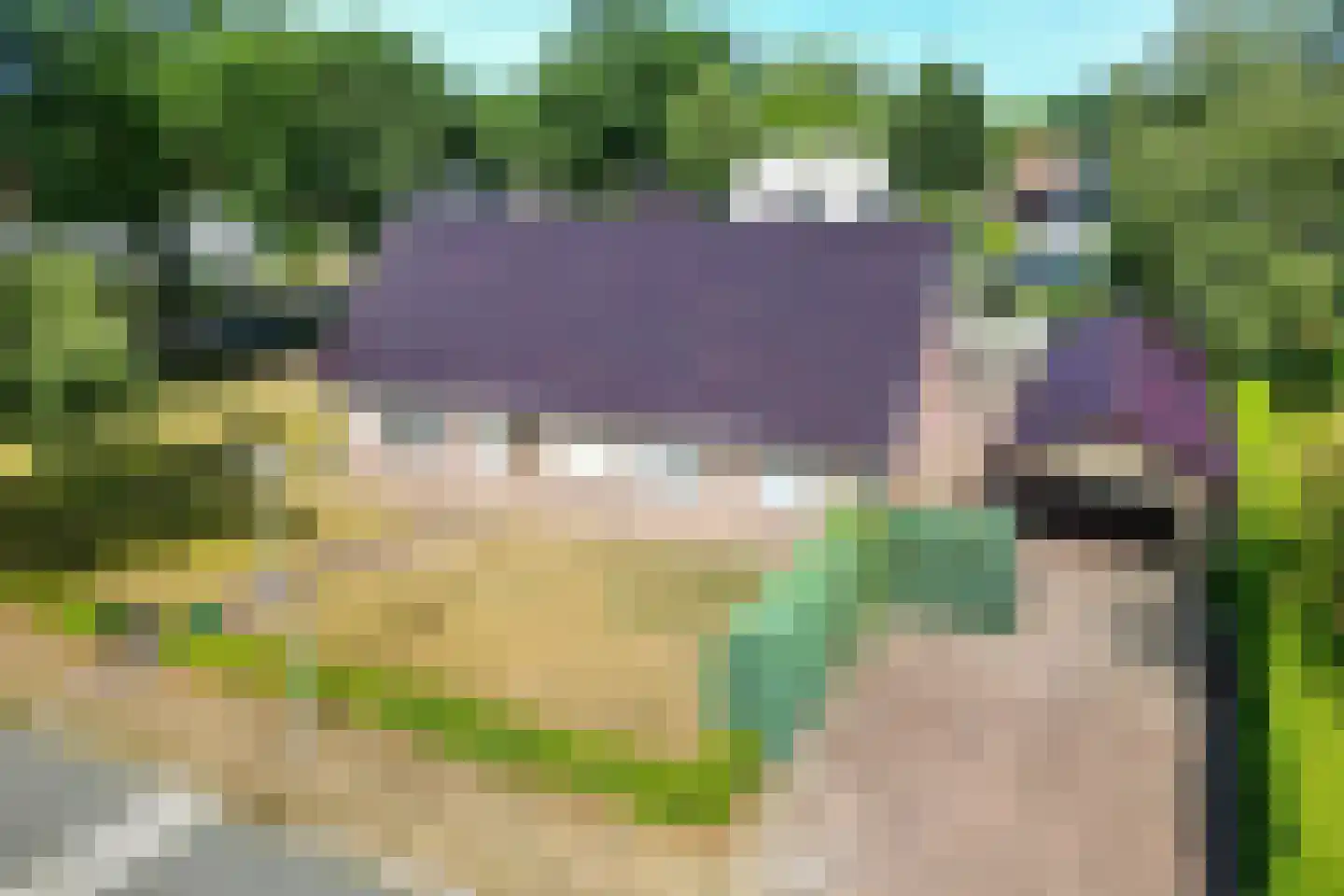 Veldakkers 52 Sleen thumbnail 4