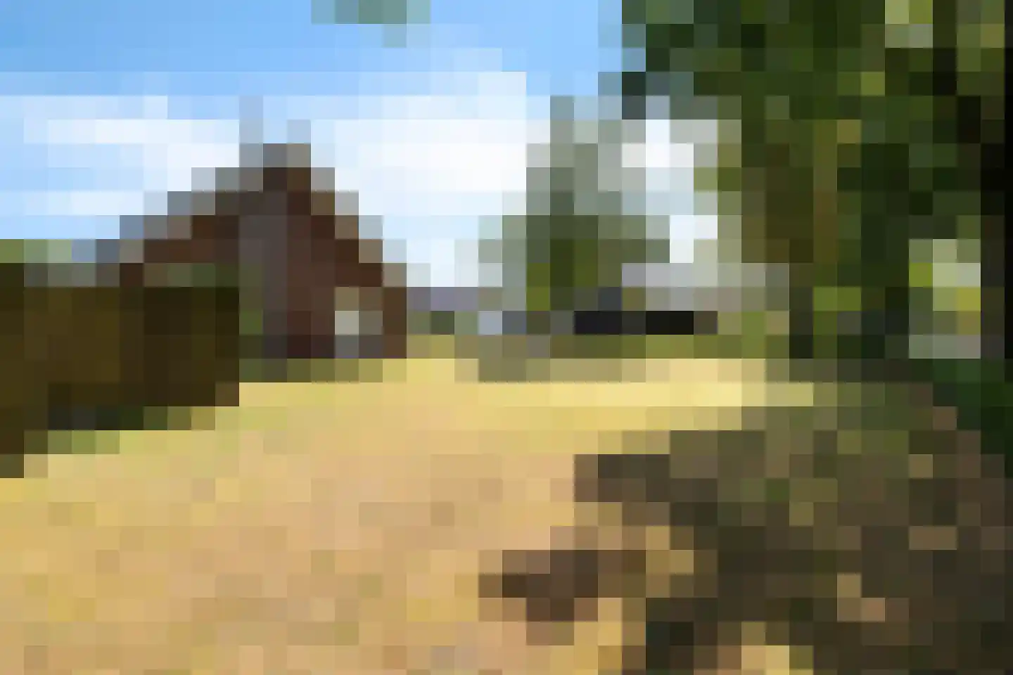 Veldakkers 52 Sleen thumbnail 40