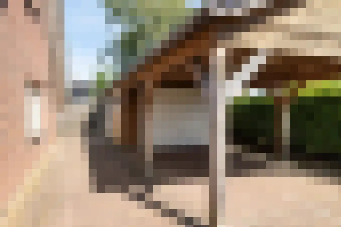 Veldakkers 52 Sleen thumbnail 41