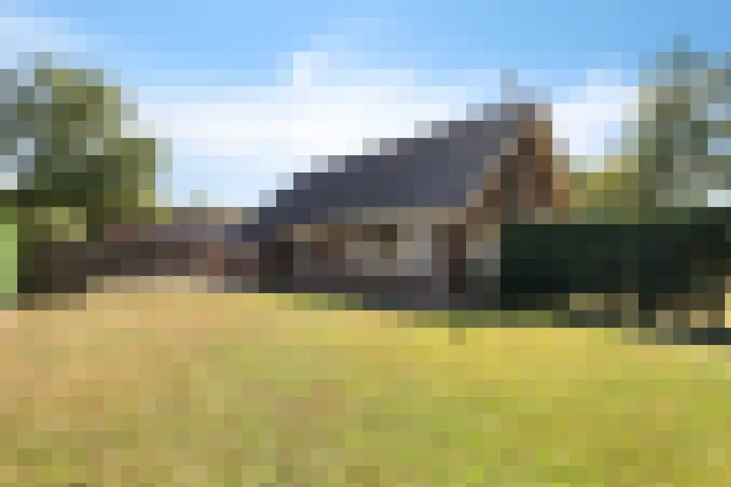 Veldakkers 52 Sleen thumbnail 5