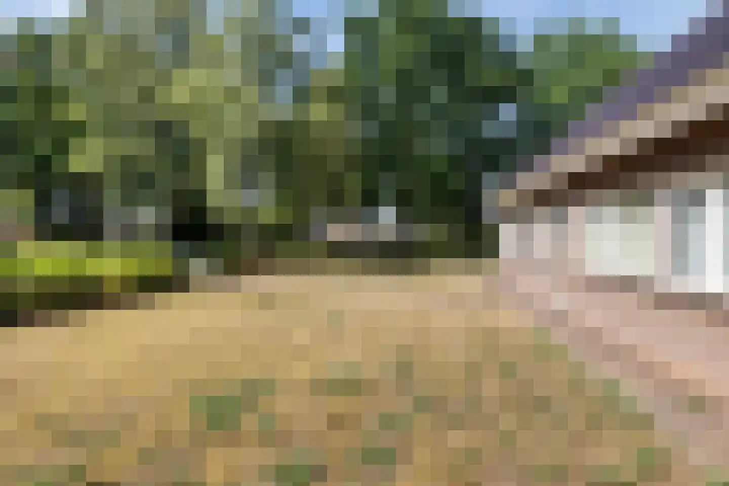 Veldakkers 52 Sleen thumbnail 6