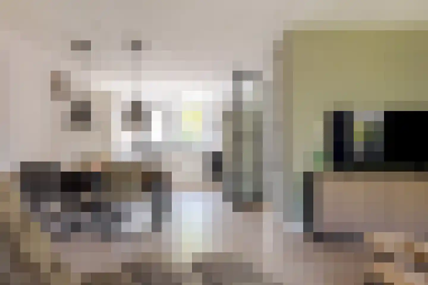 Veldakkers 62 Borger thumbnail 13