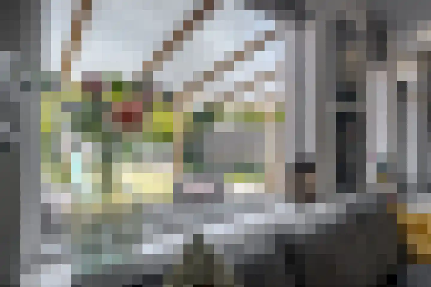 Veldakkers 62 Borger thumbnail 17
