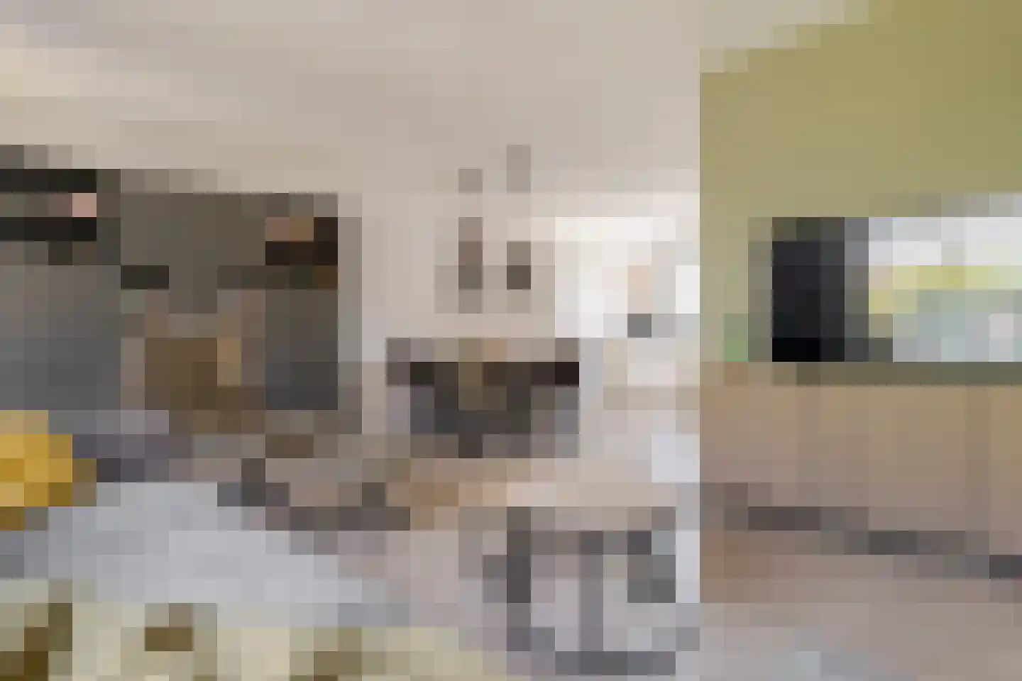 Veldakkers 62 Borger thumbnail 18