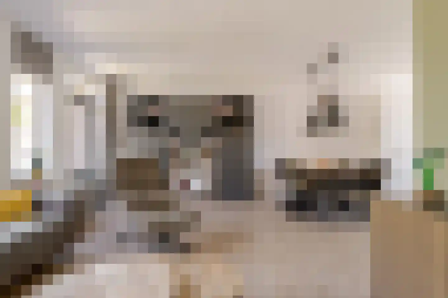 Veldakkers 62 Borger thumbnail 19