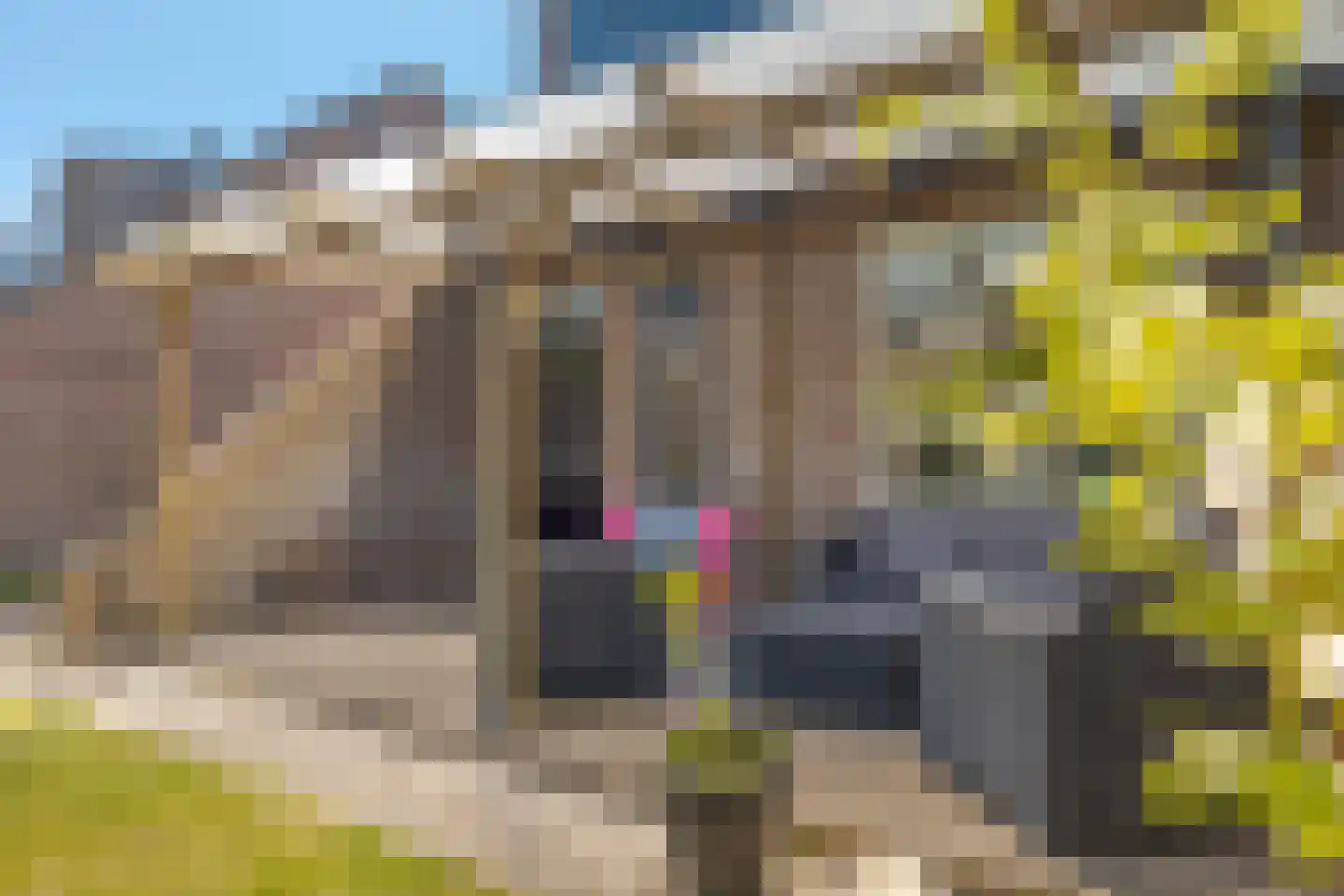 Veldakkers 62 Borger thumbnail 30