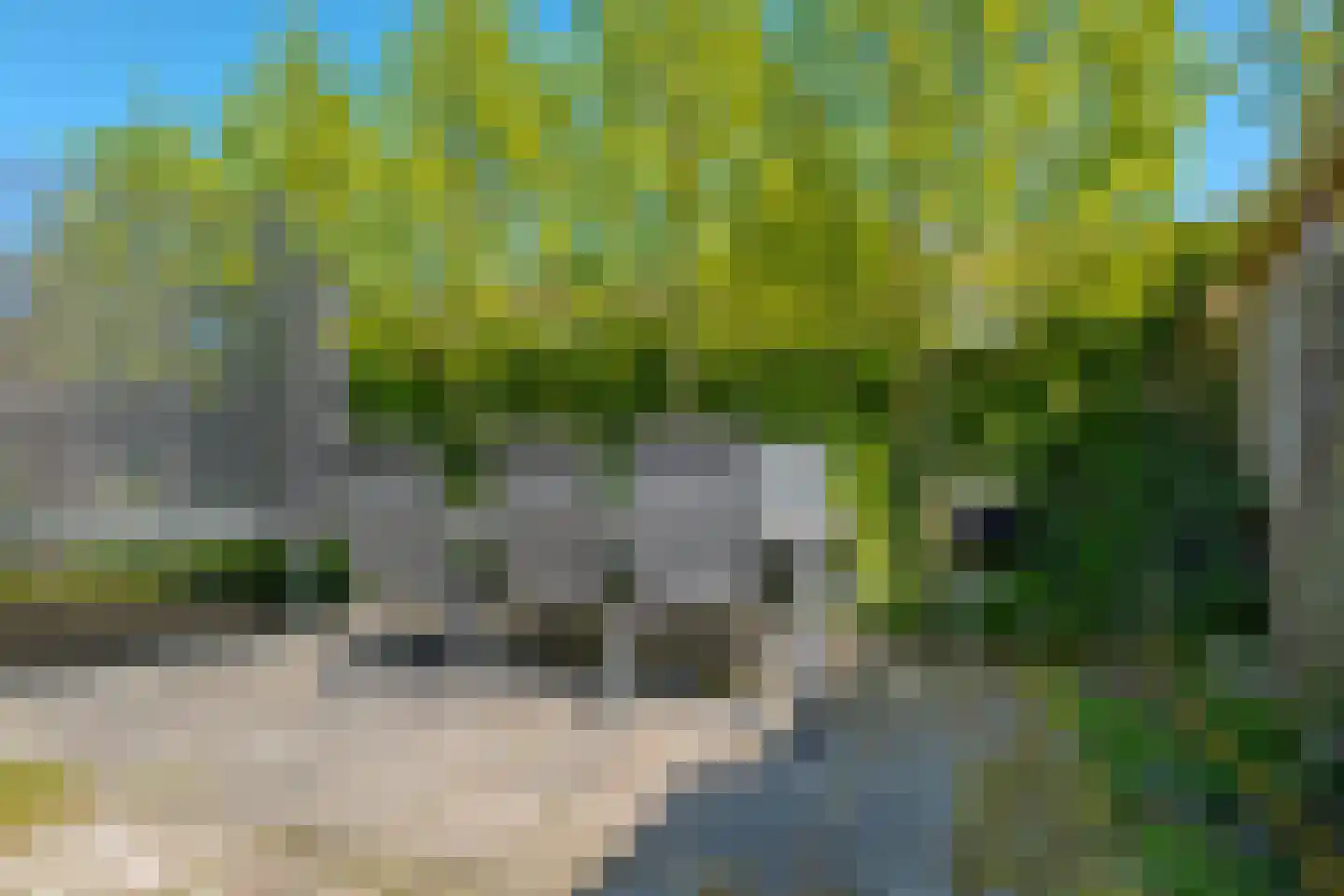 Veldakkers 62 Borger thumbnail 33
