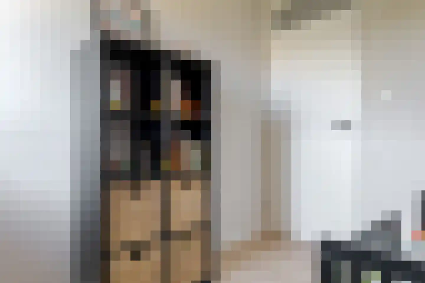 Veldakkers 62 Borger thumbnail 41